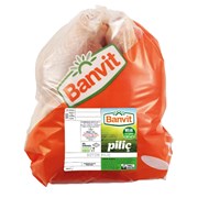 Banvit Piliç Kg.