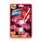 Domestos Wc Blok 2*50gr Ejder Meyvesi Duo