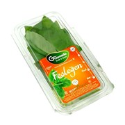 Greenada Fesleğen 25Gr Paket