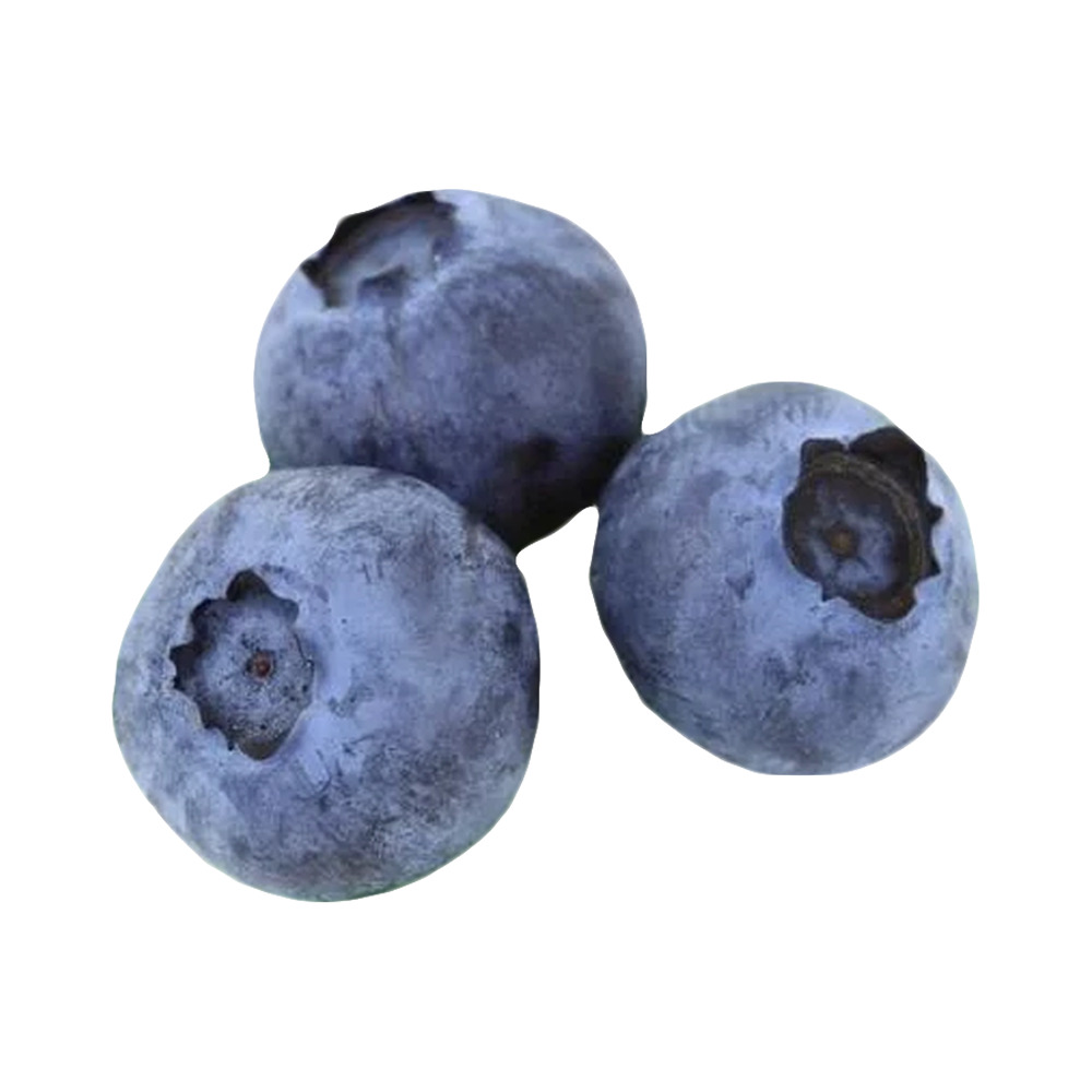 Yaban Mersini 125 Gr