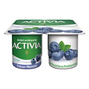 Activia Doğal Probiyotik 400 Gr. Yaban Mersini