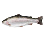 Meseri Karadeniz Somon Bütün Kg