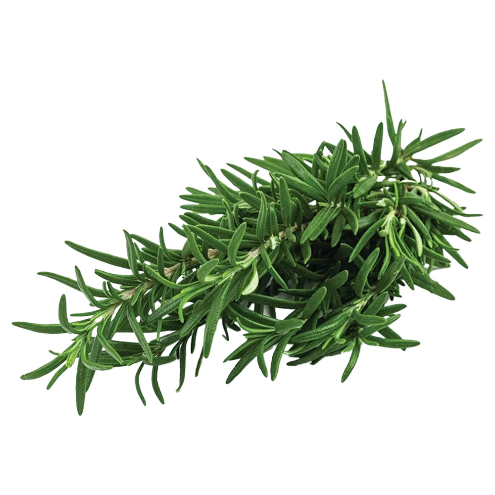 Greenada Biberiye 25Gr Paket