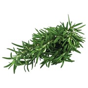 Greenada Biberiye 25Gr Paket