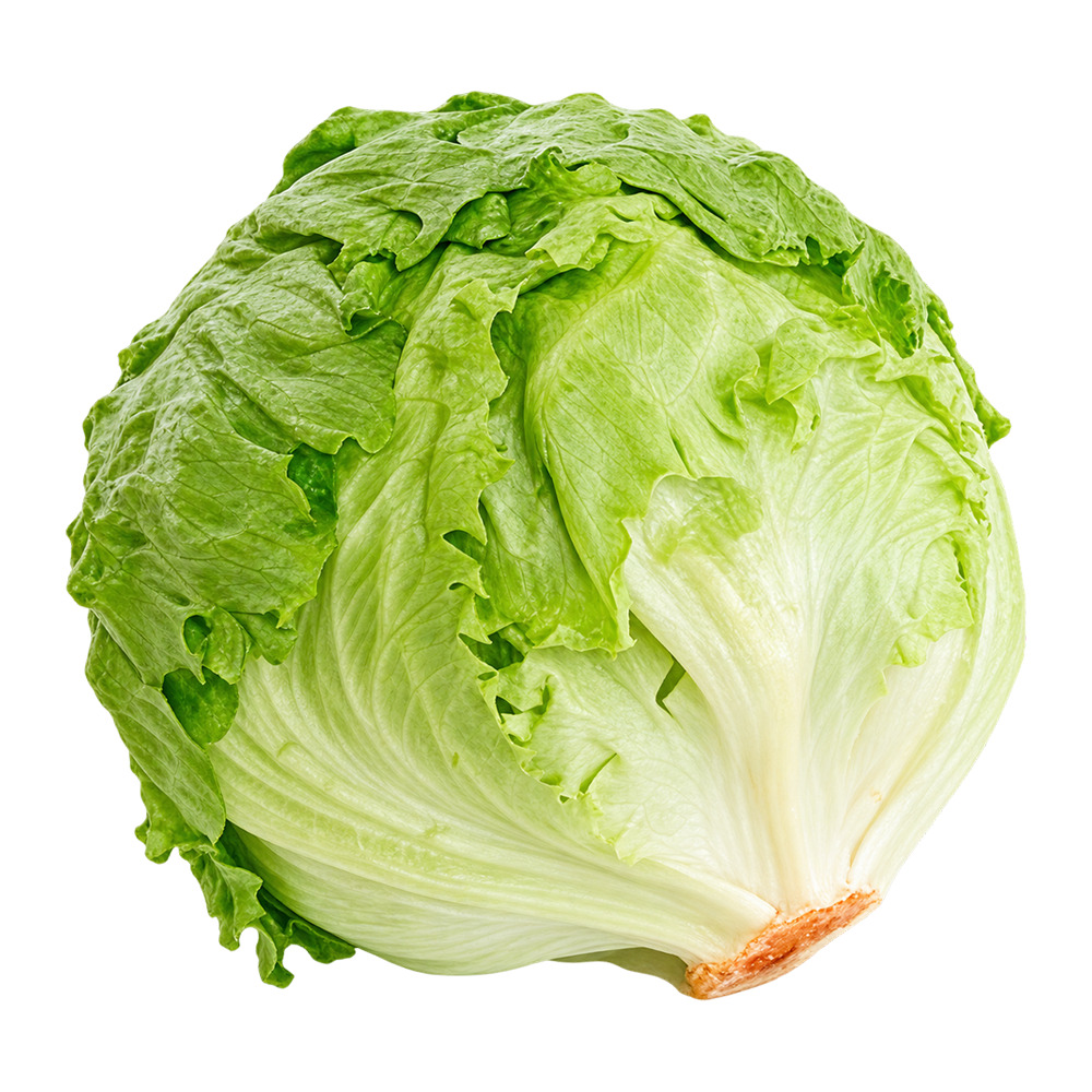 Marul Iceberg Adet