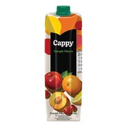 Cappy Tetra Karışık 1 Lt.