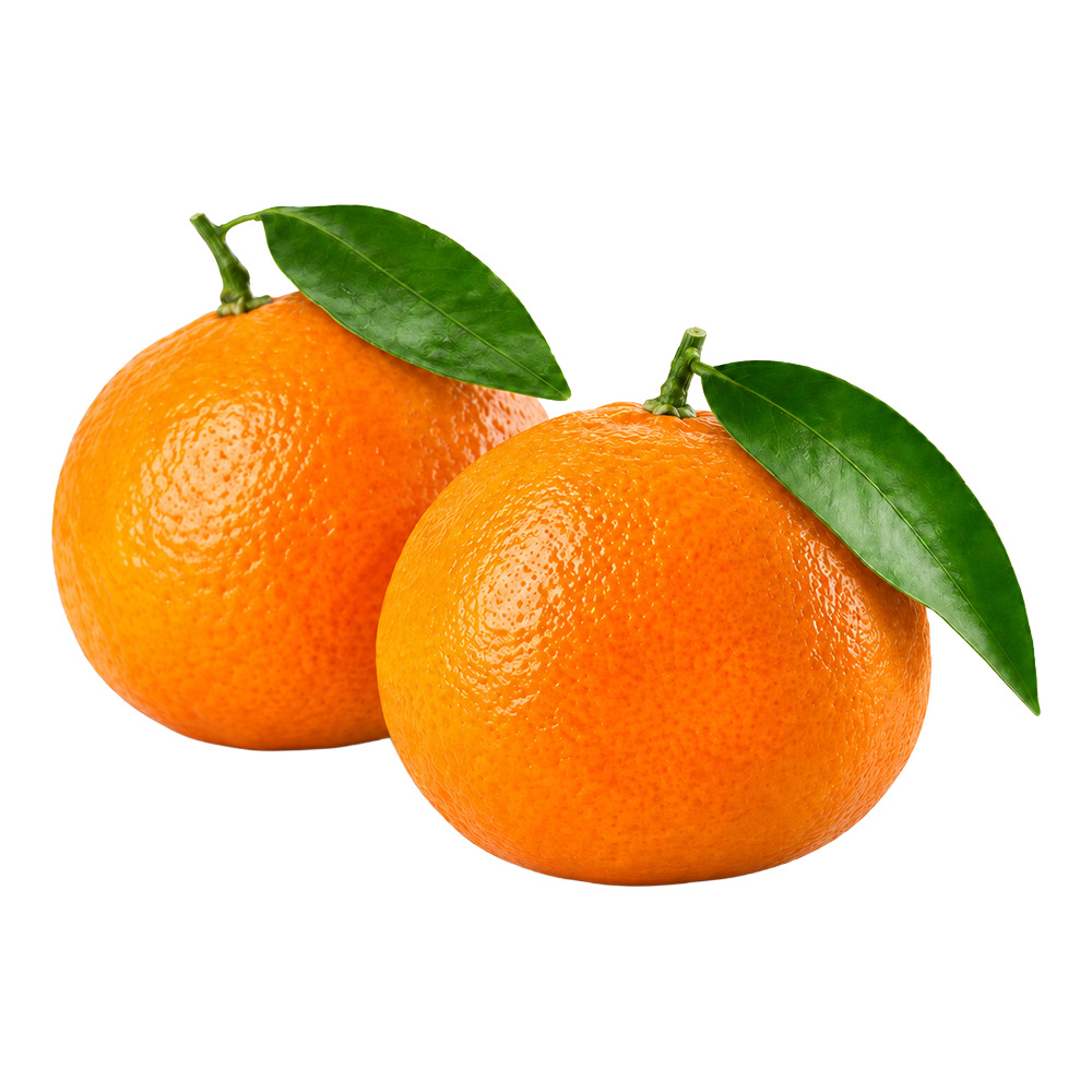 Mandalina Kg