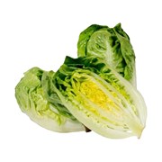 Greenada Mini Yedikule Paket